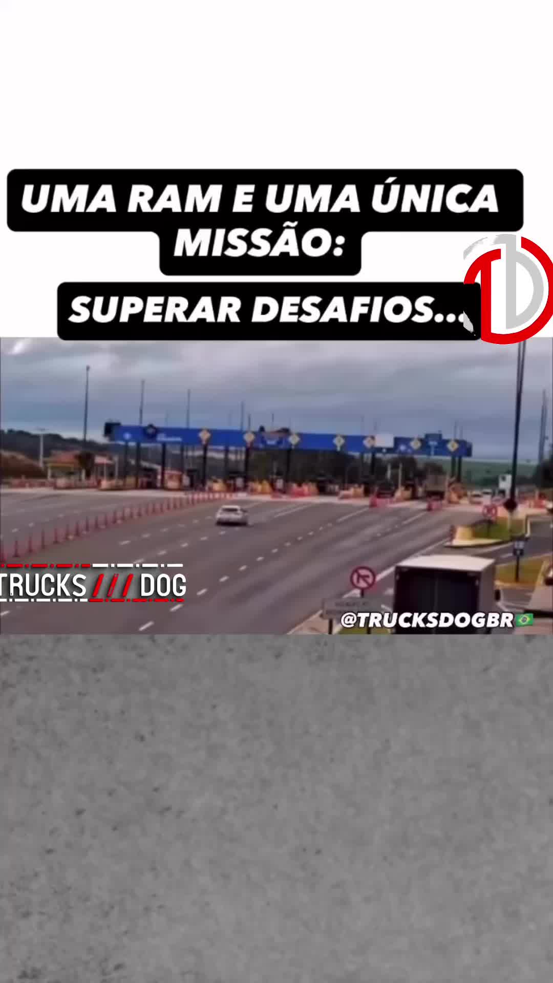 @TRUCKS///DOG