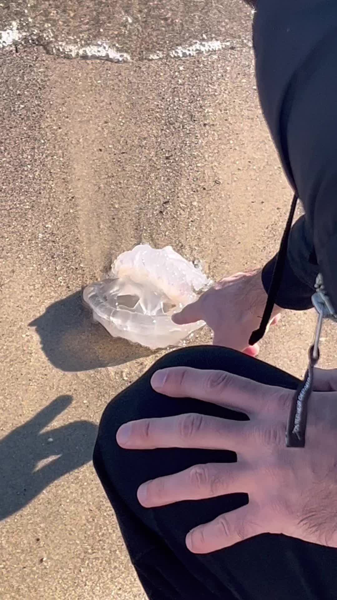 @valet_bubnovuy