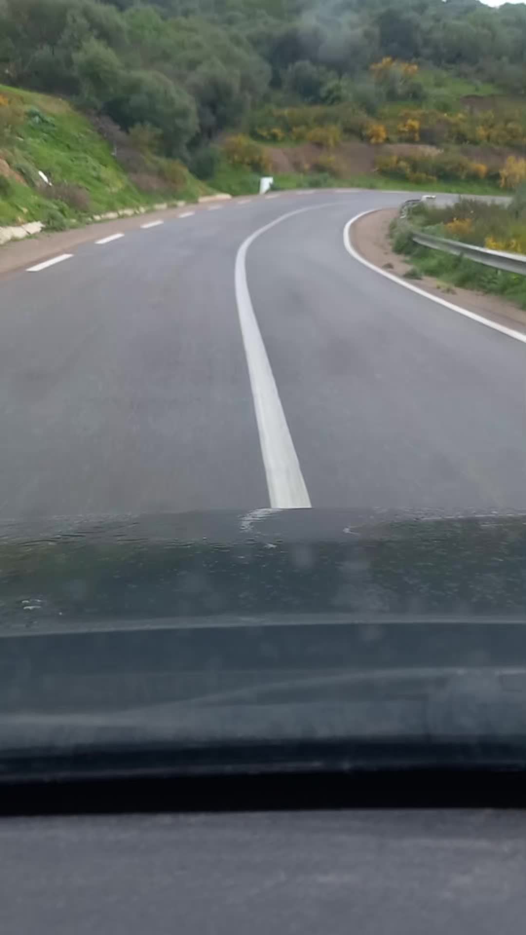 @Guelma 24🇩🇿