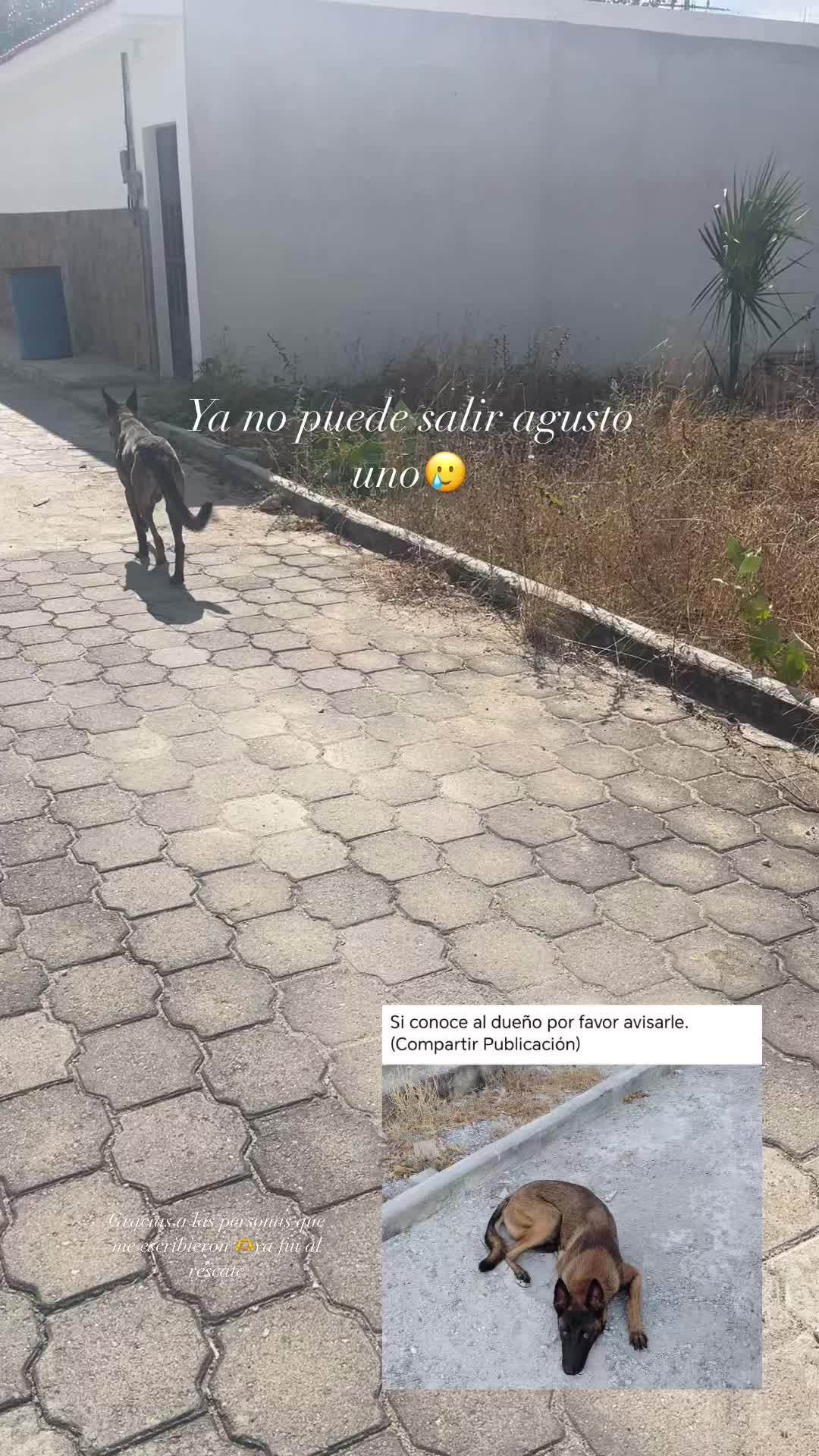 @alisdelcid0_0