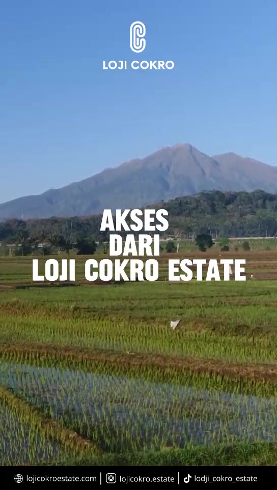 @Loji Cokro Estate