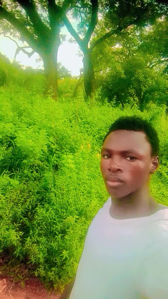 @Saleso