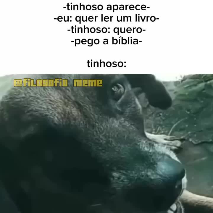 @filosofia.meme