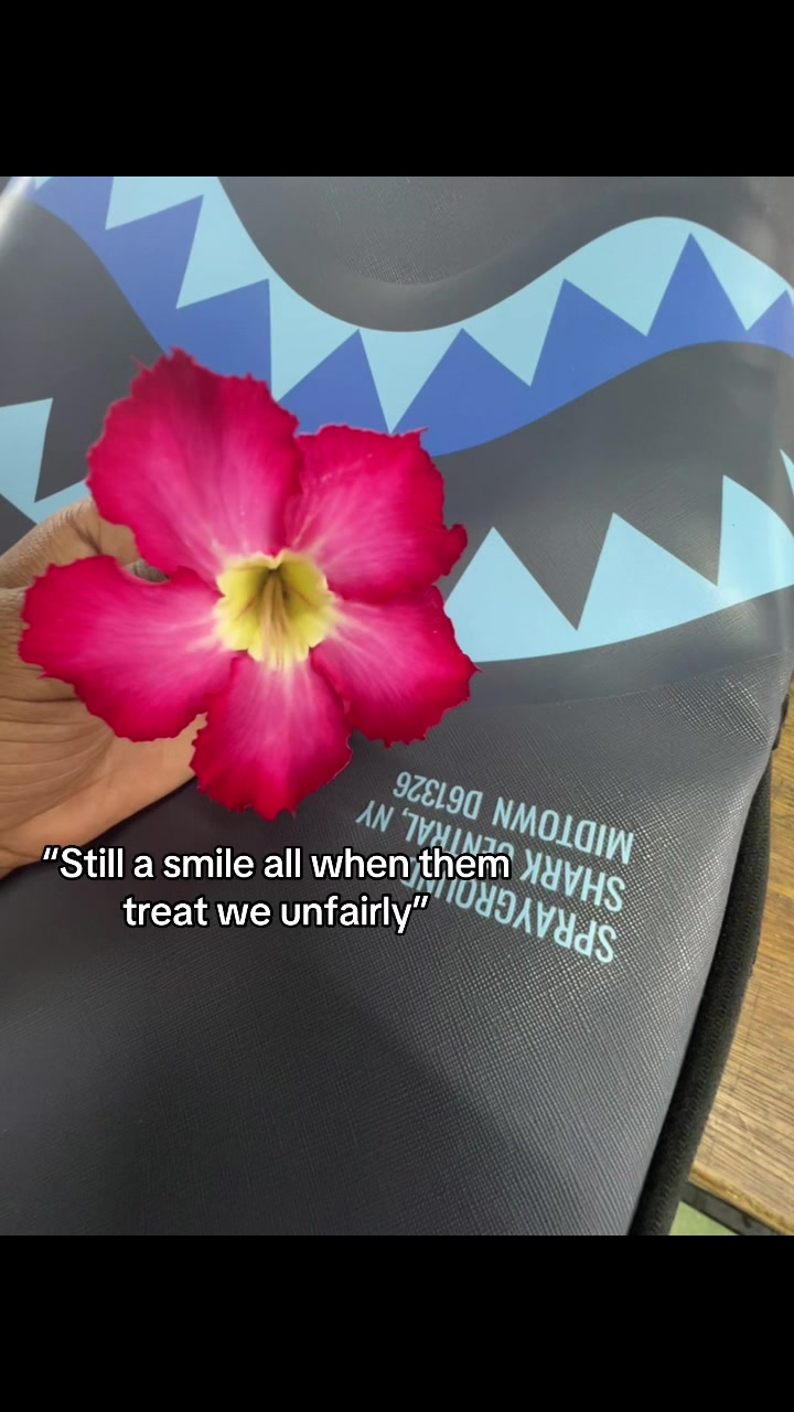 @she.quotes🐆