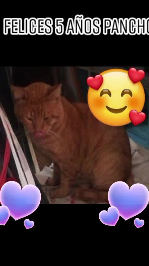 @chikitadominguez ๐ฅฐ๐ฅฐ๐