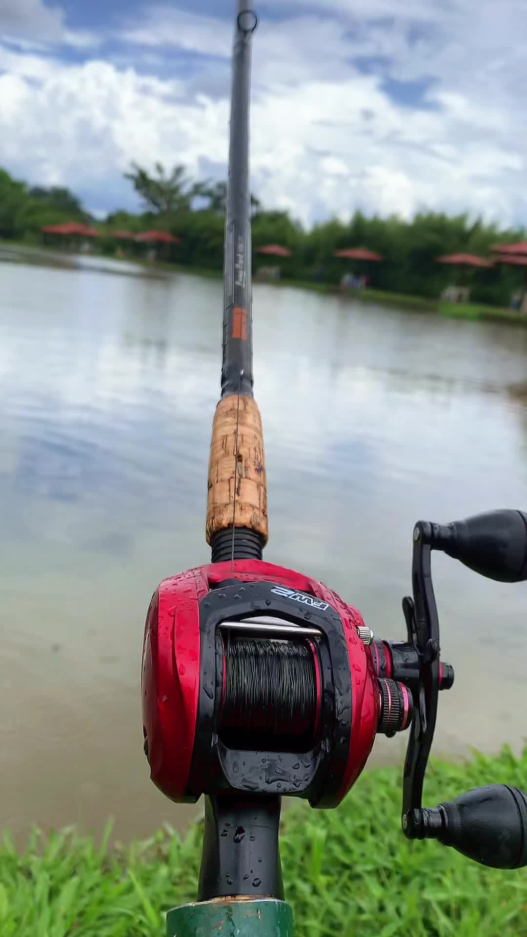 @Dimex Pescador