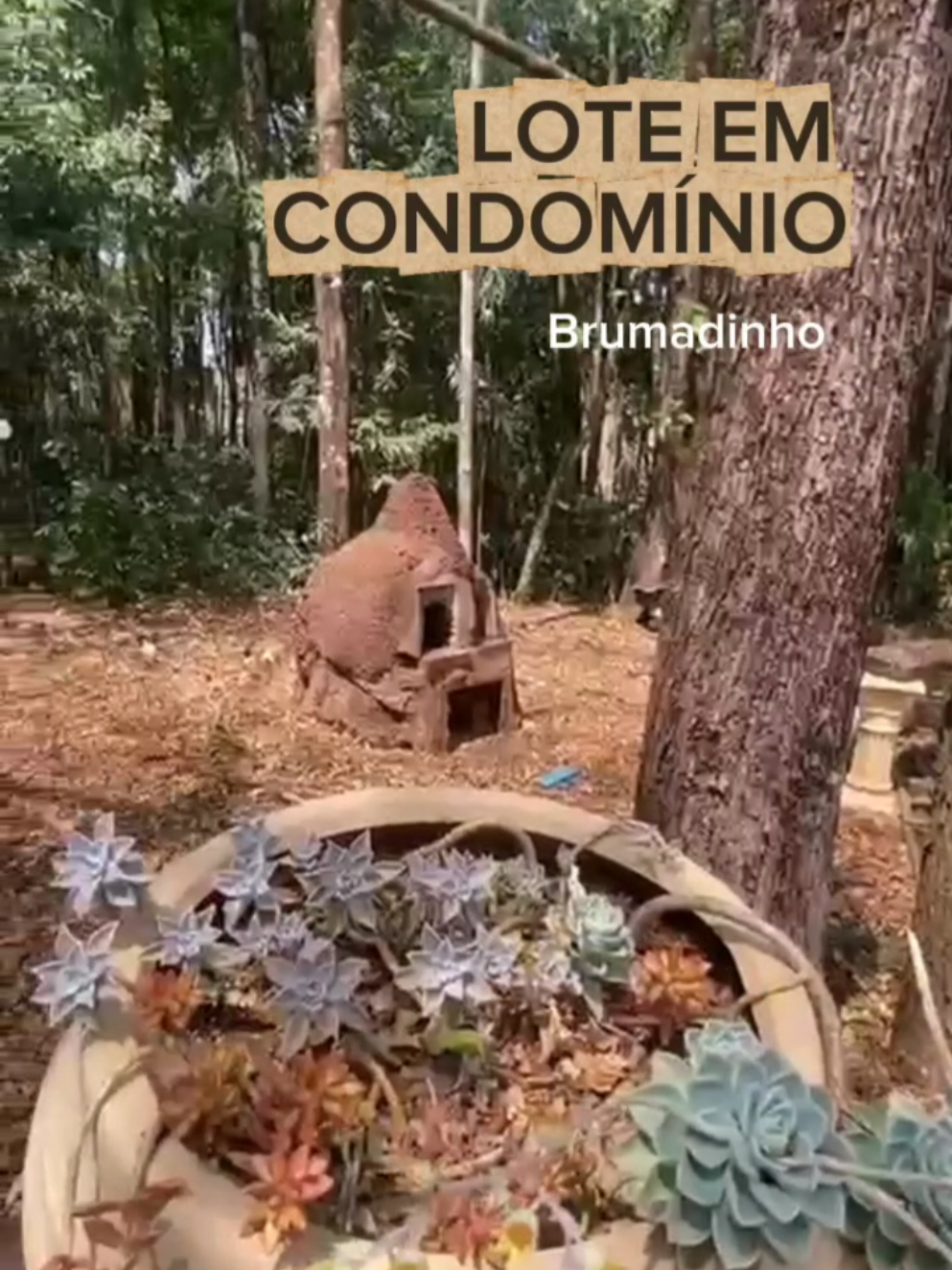 @fabianashinneimoveis