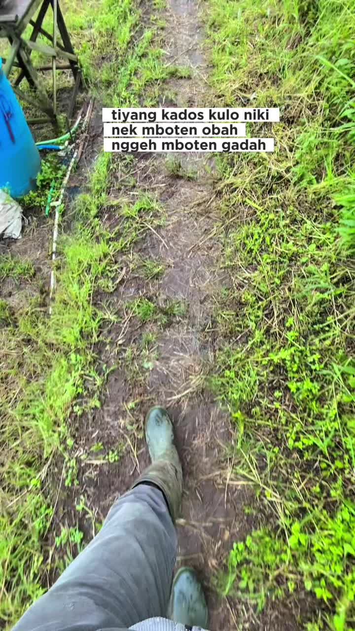 @erianggoro