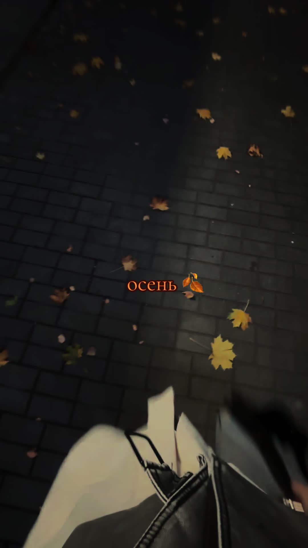 @𝑴🪽