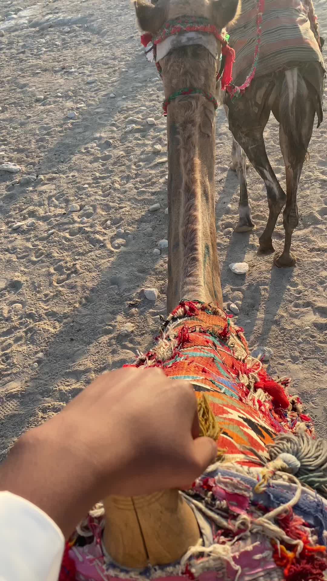 @ABbAz🥽🍹