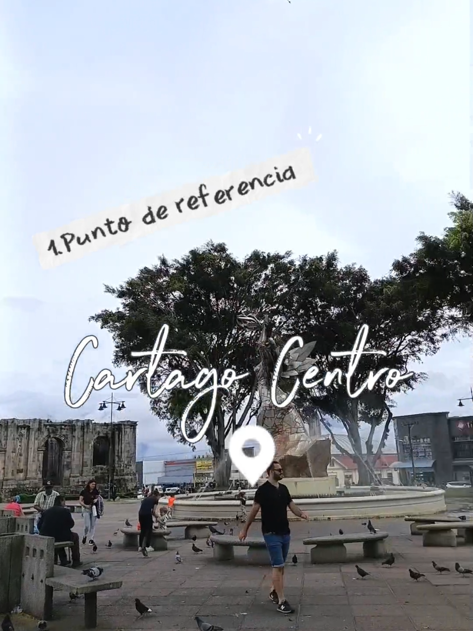 @Mandarina