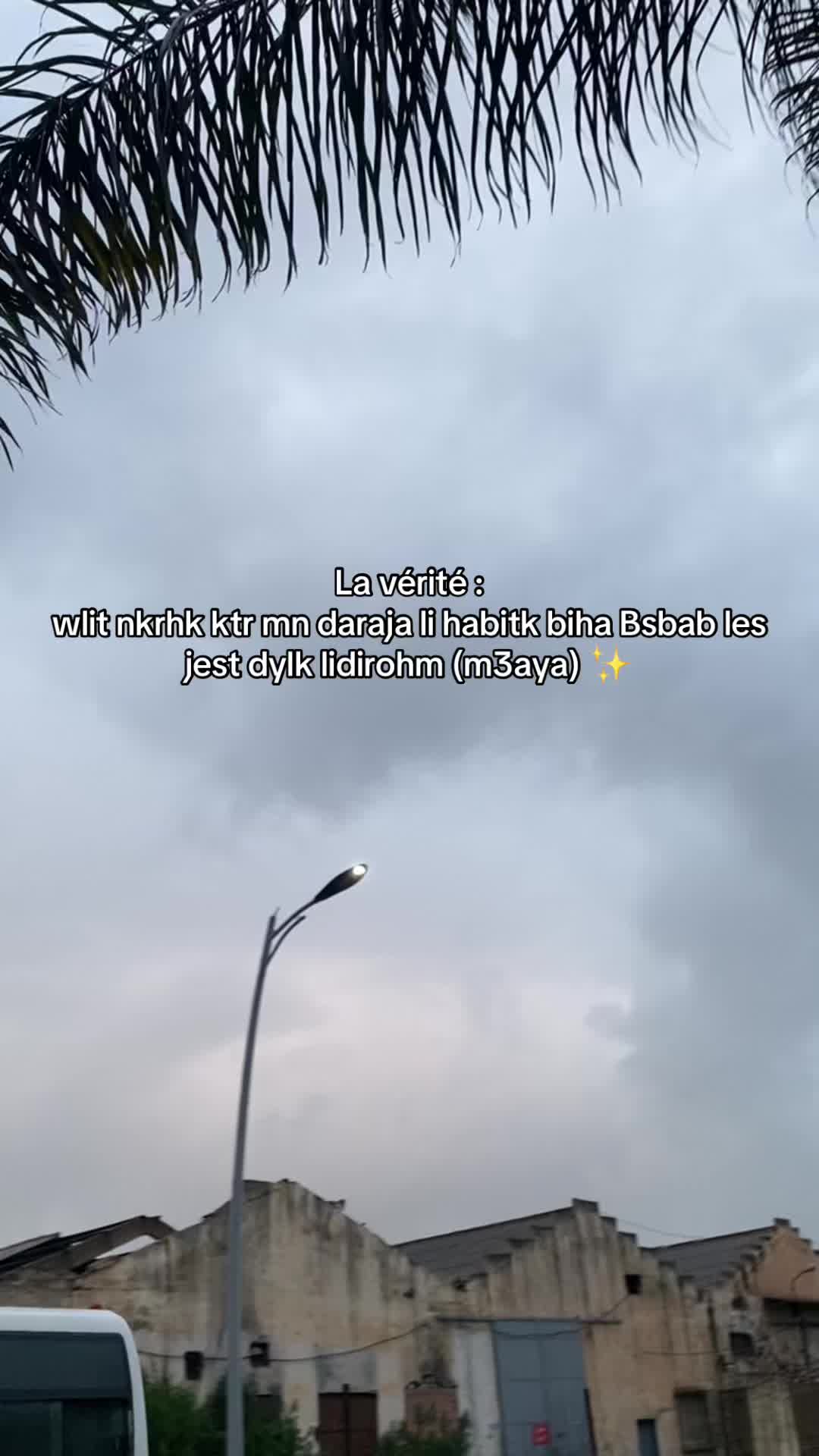 @𝓗&rsquo;🫆         🐆