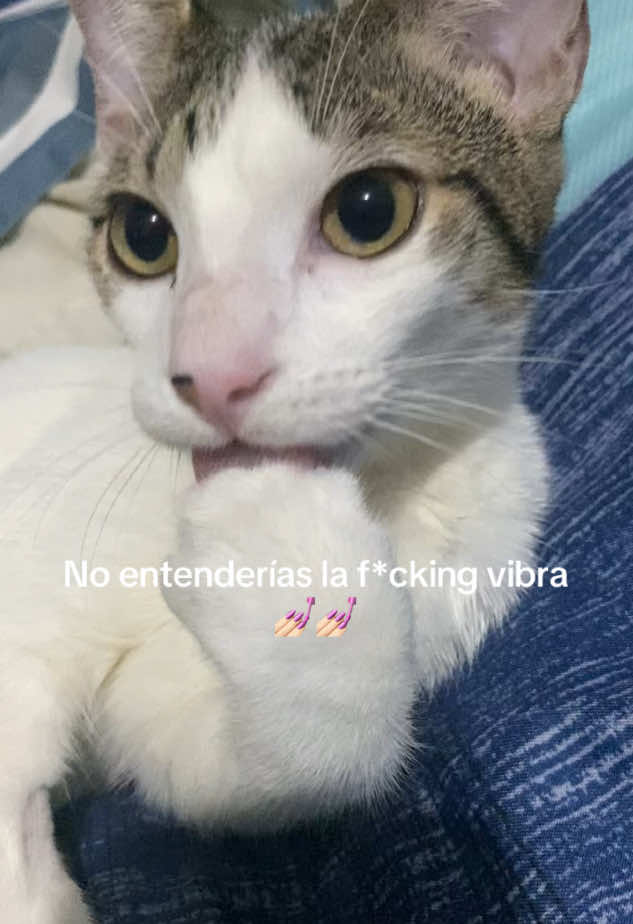 @Sheila Paredes