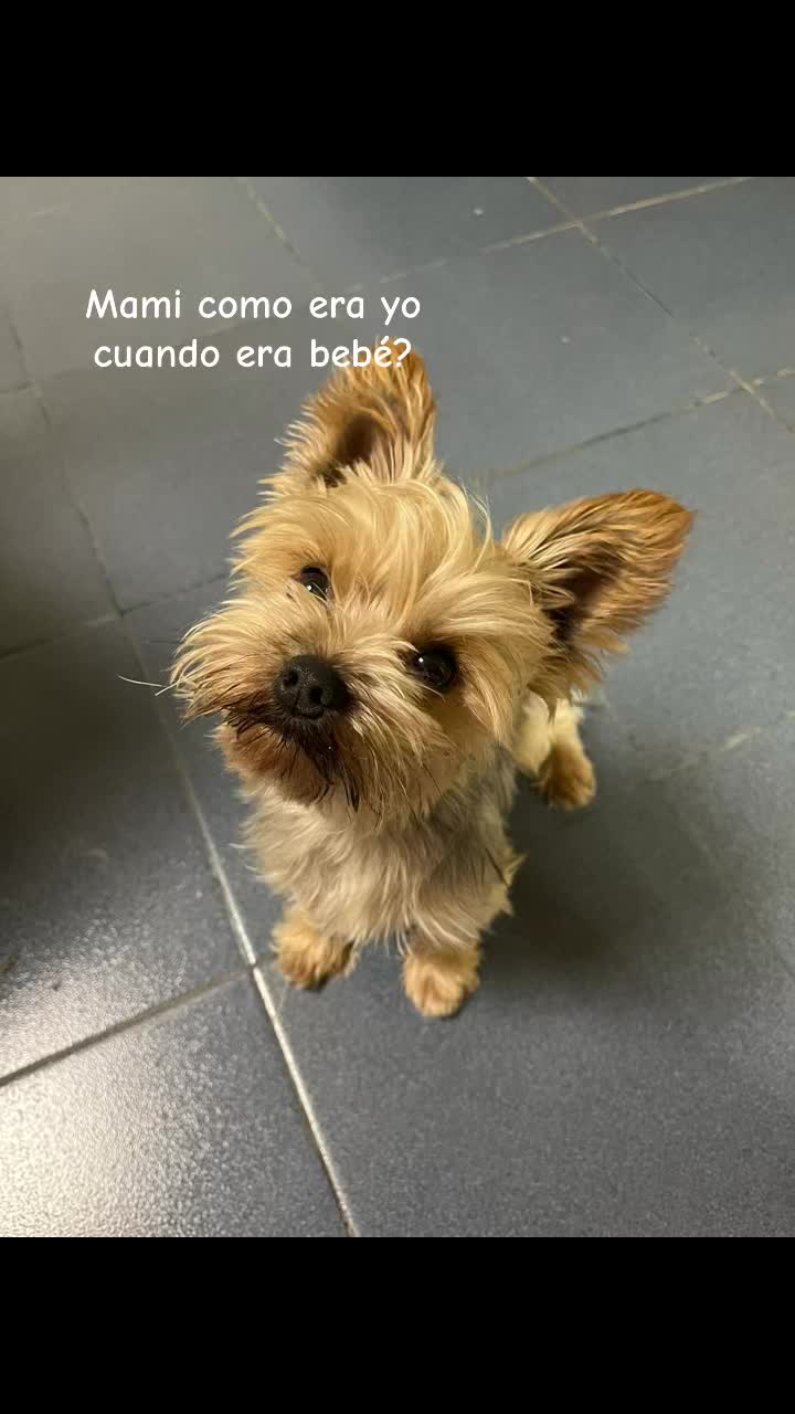 @burgosagustinamar