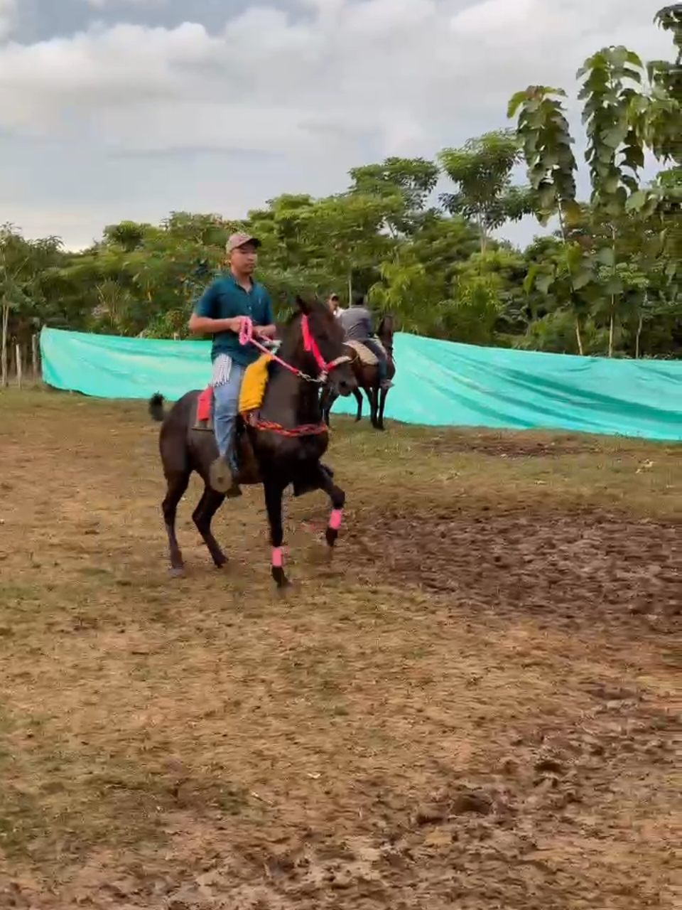 @jjulianbello