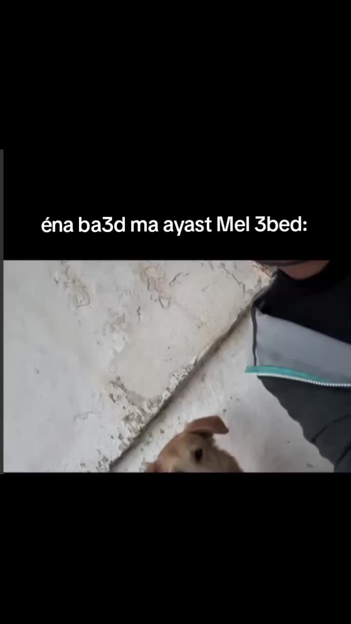 @🦇🕸