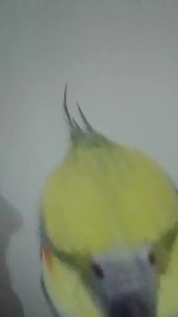 @Midou Pâr Esthesie@