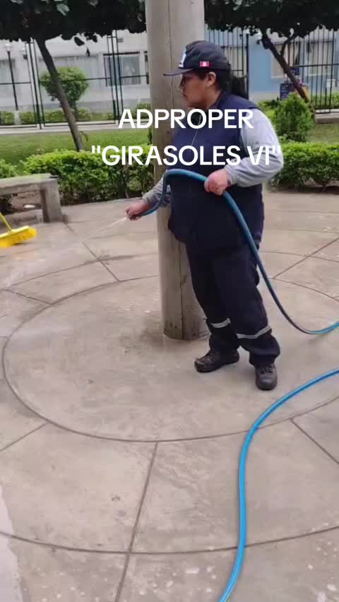 @ADPROPER "GIRASOLES VI "