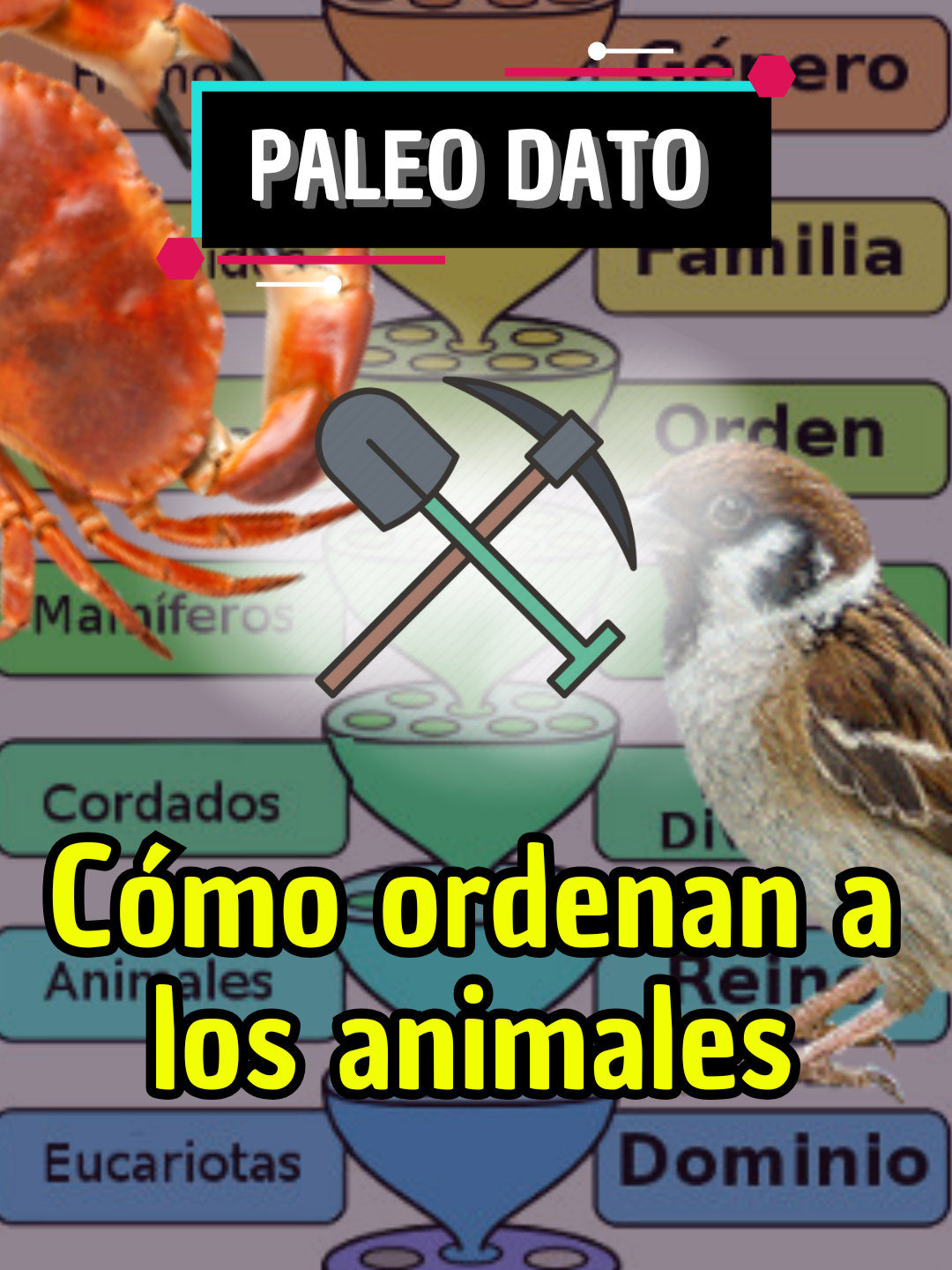 @eocenito