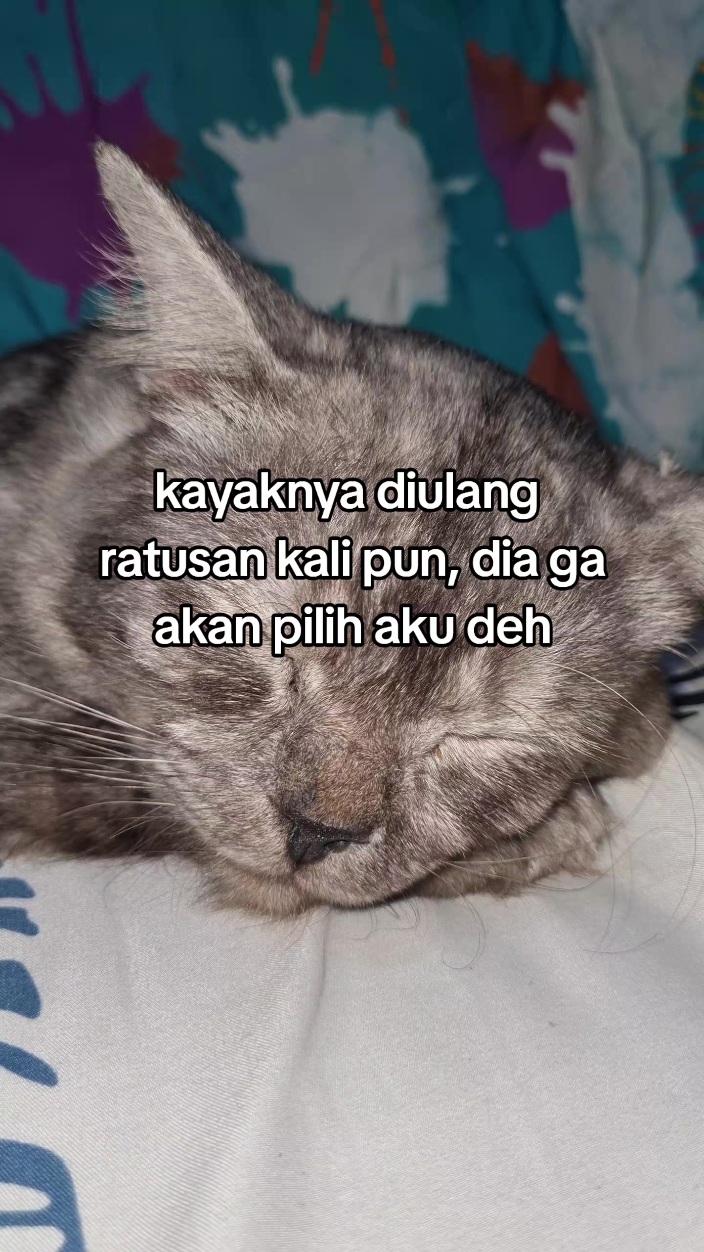 @wariii