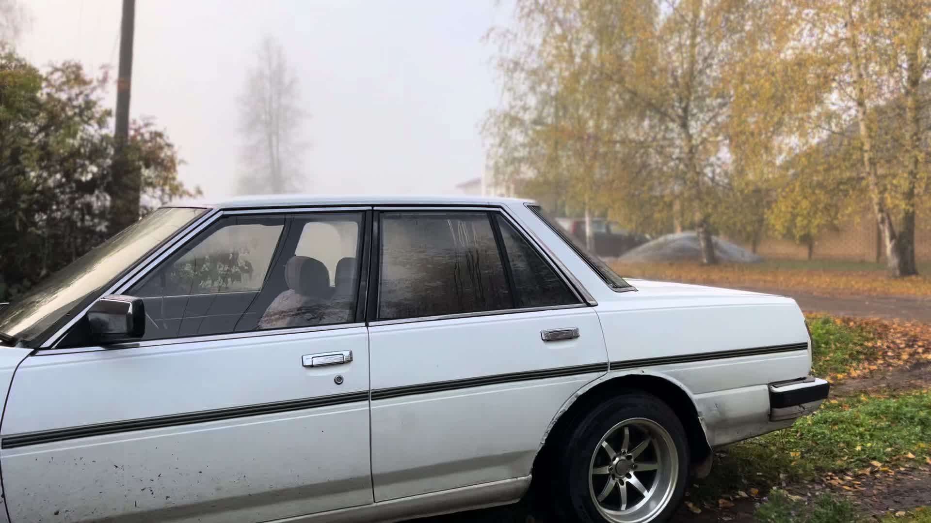 @71kuzov
