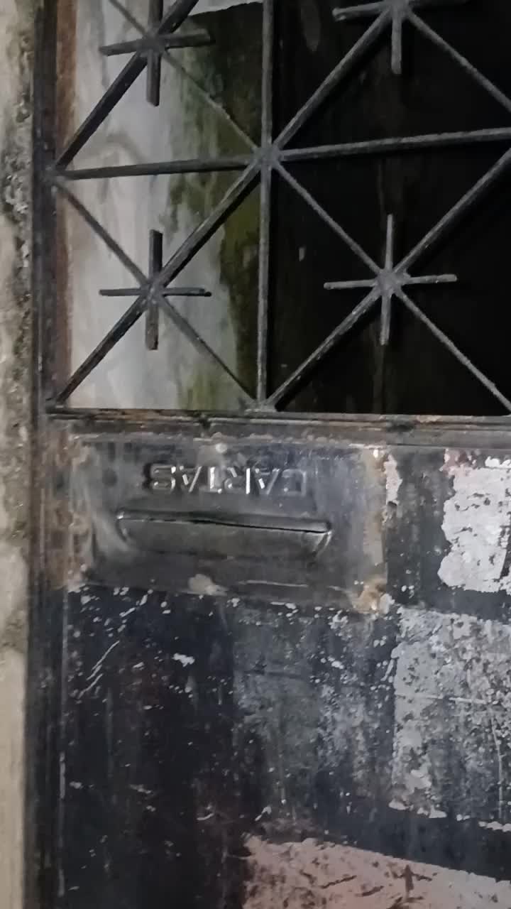 @brunobarbio