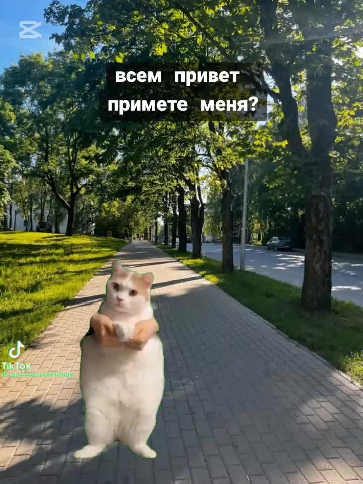 @𝐤𝐚𝐭𝐲𝐚𝐱𝐰𝐪_🐈⬛