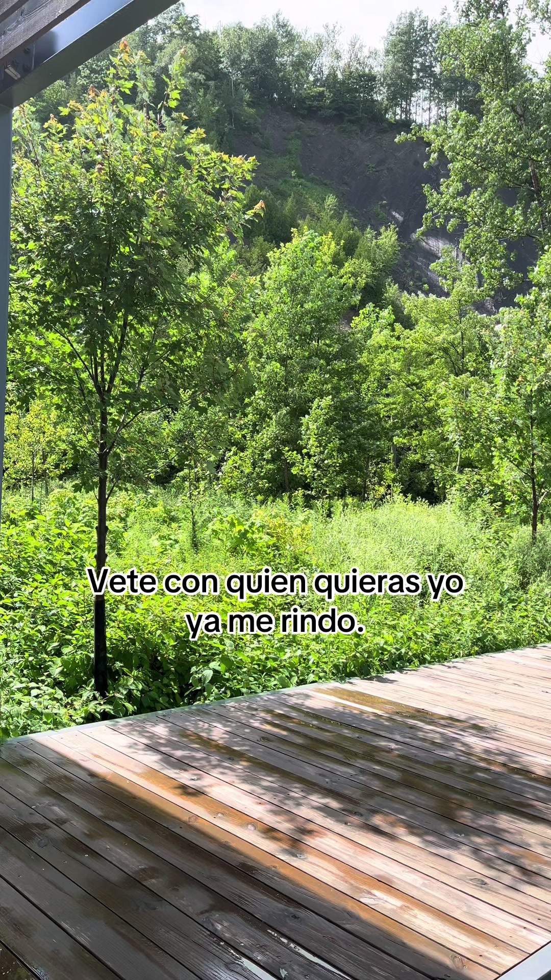 @usuarionomeconoces