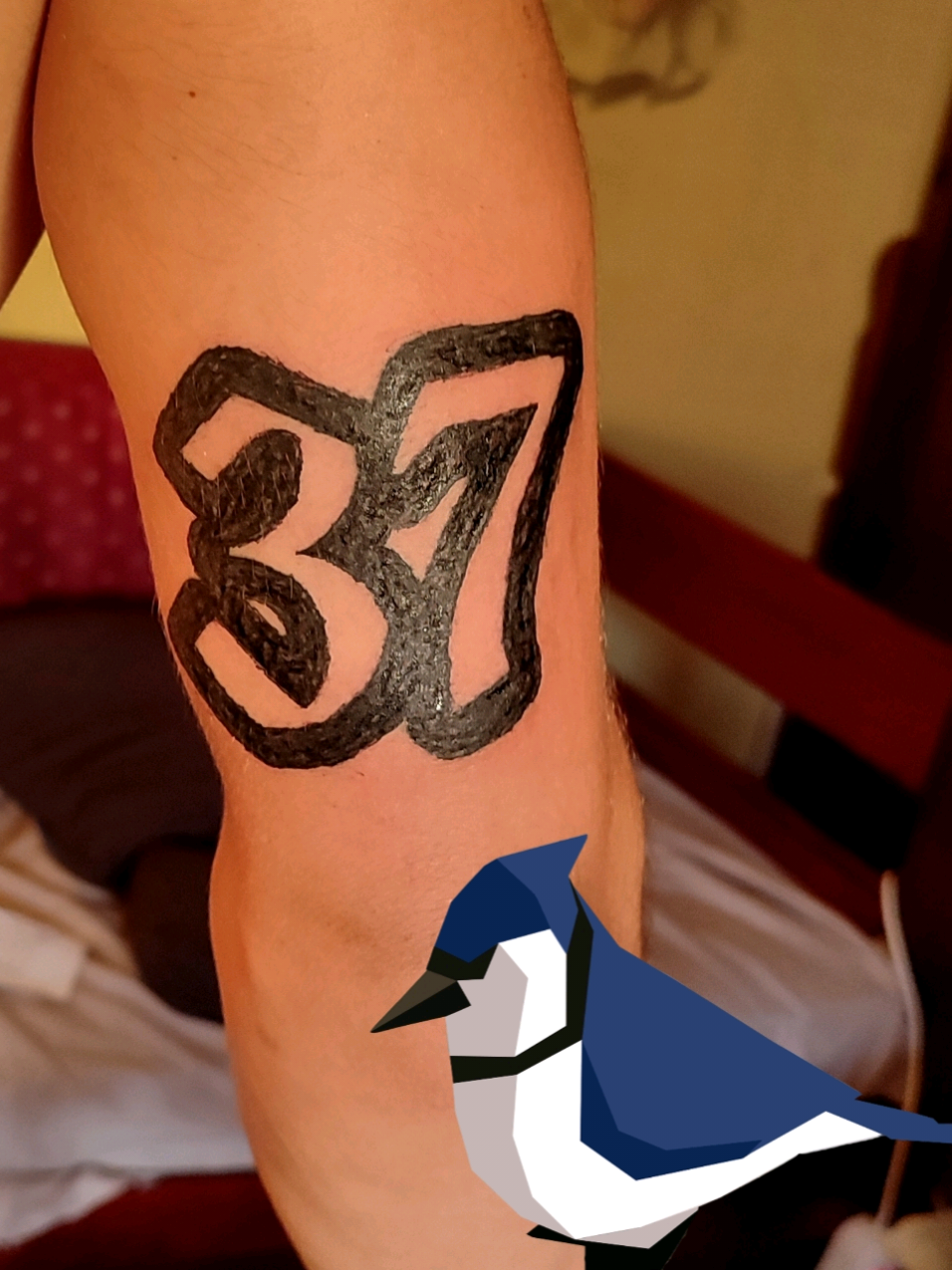 @Blue Jay Ink