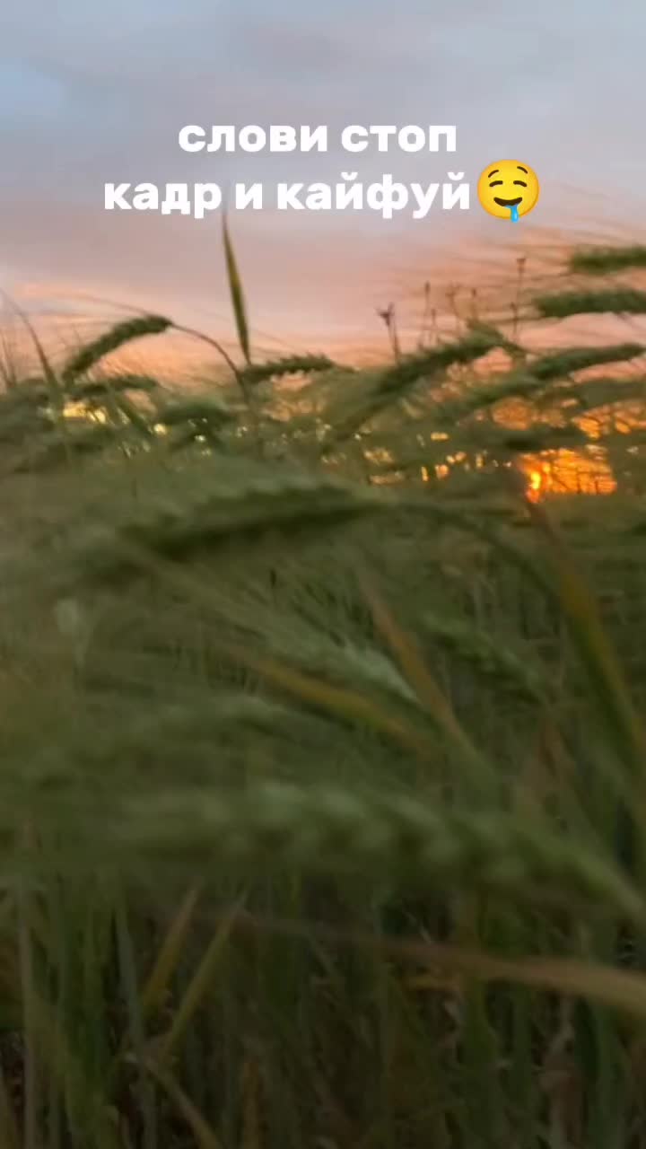 @pizdaxy3