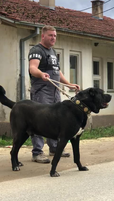 @CAMOKA.TR.KANGAL
