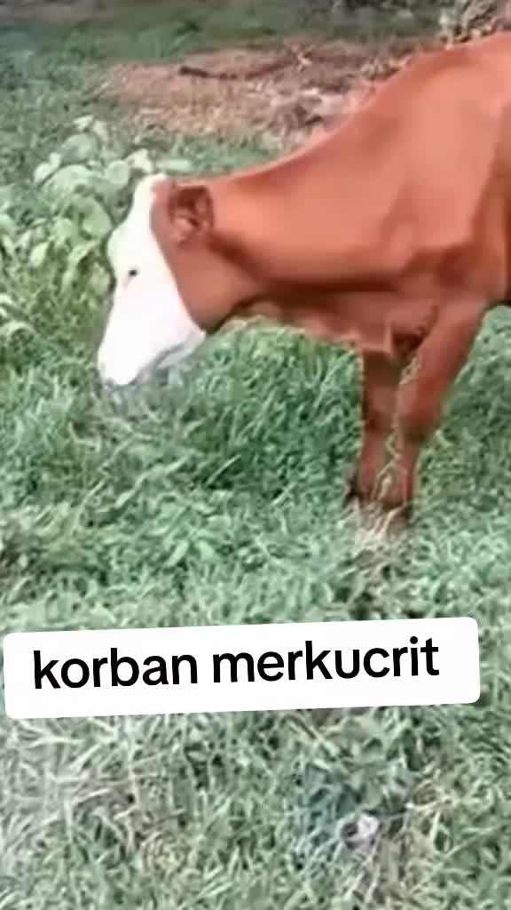 @Eudora ra