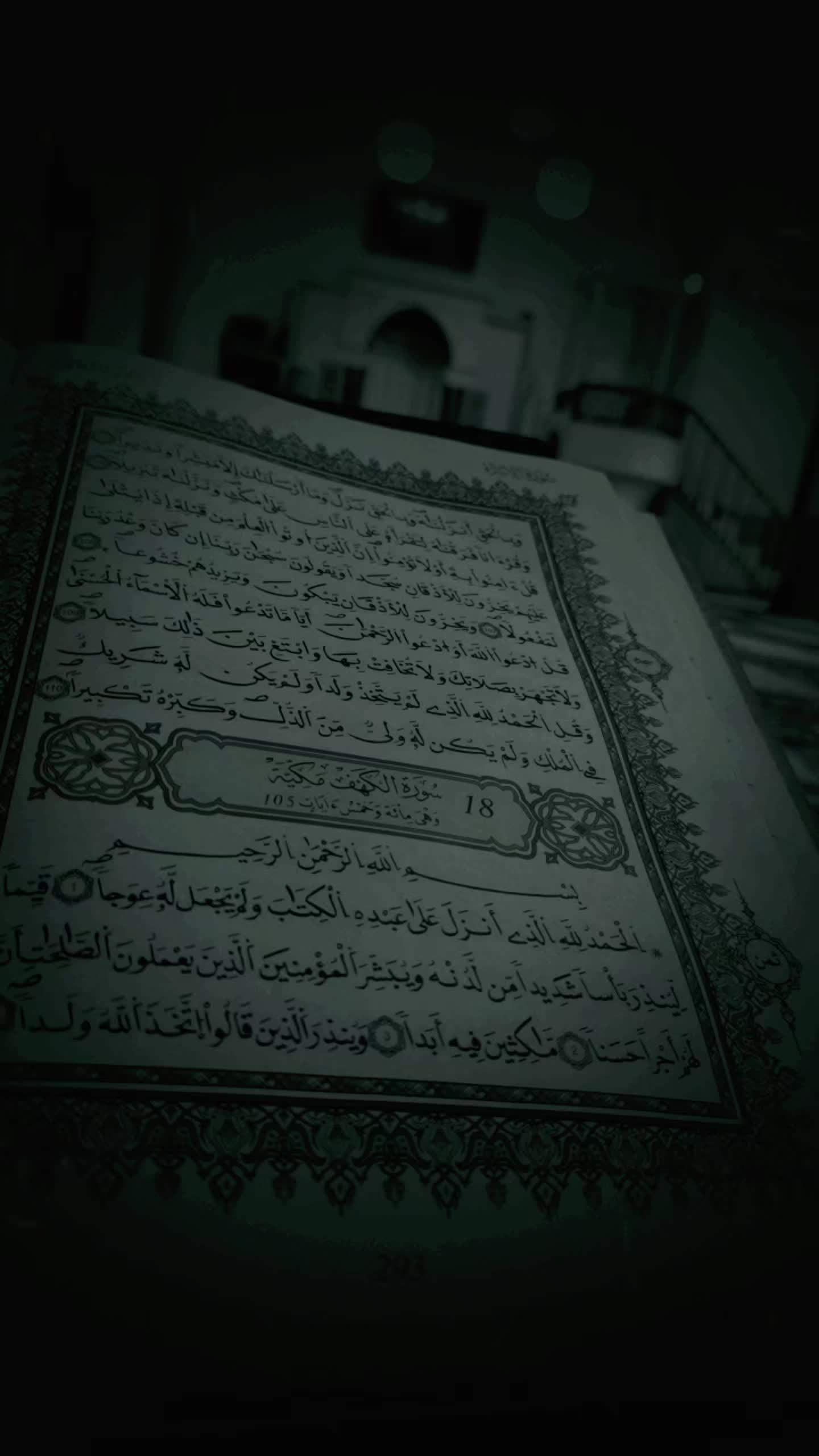@مصعب شلش