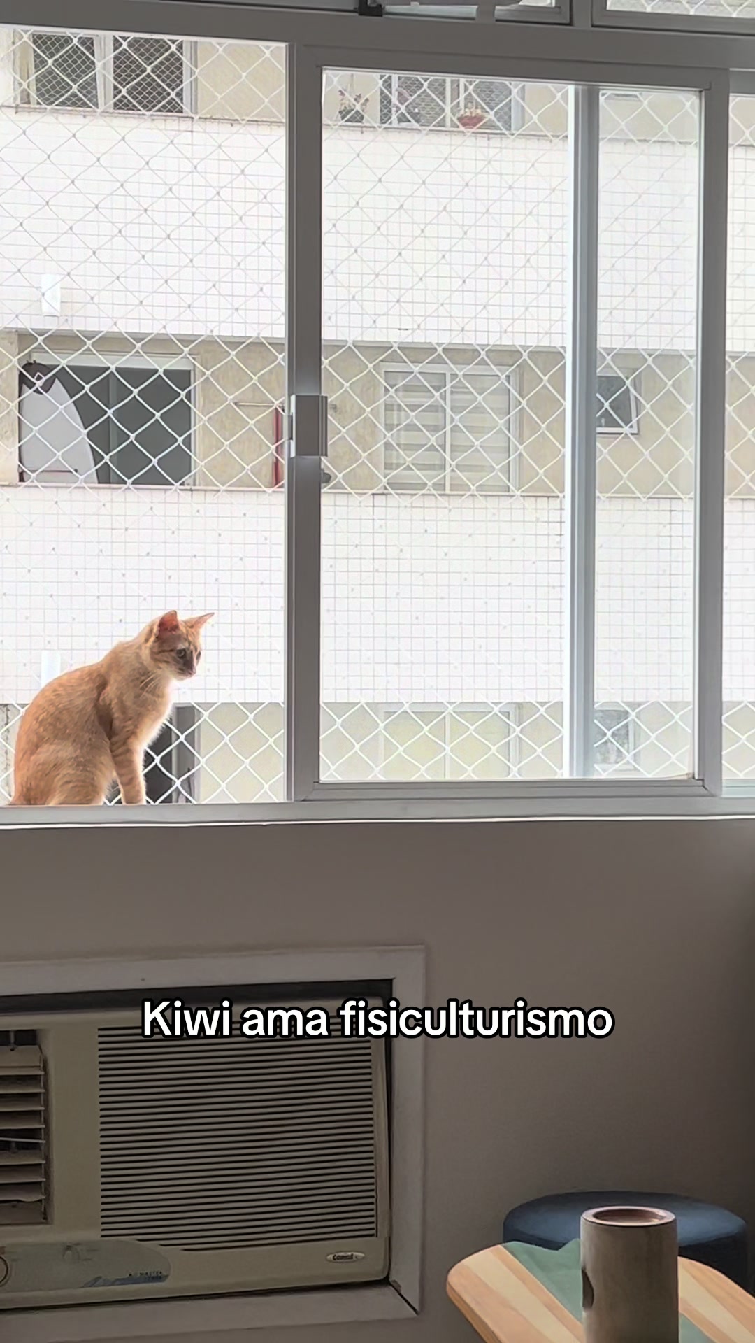 @Kiwi & Camomila