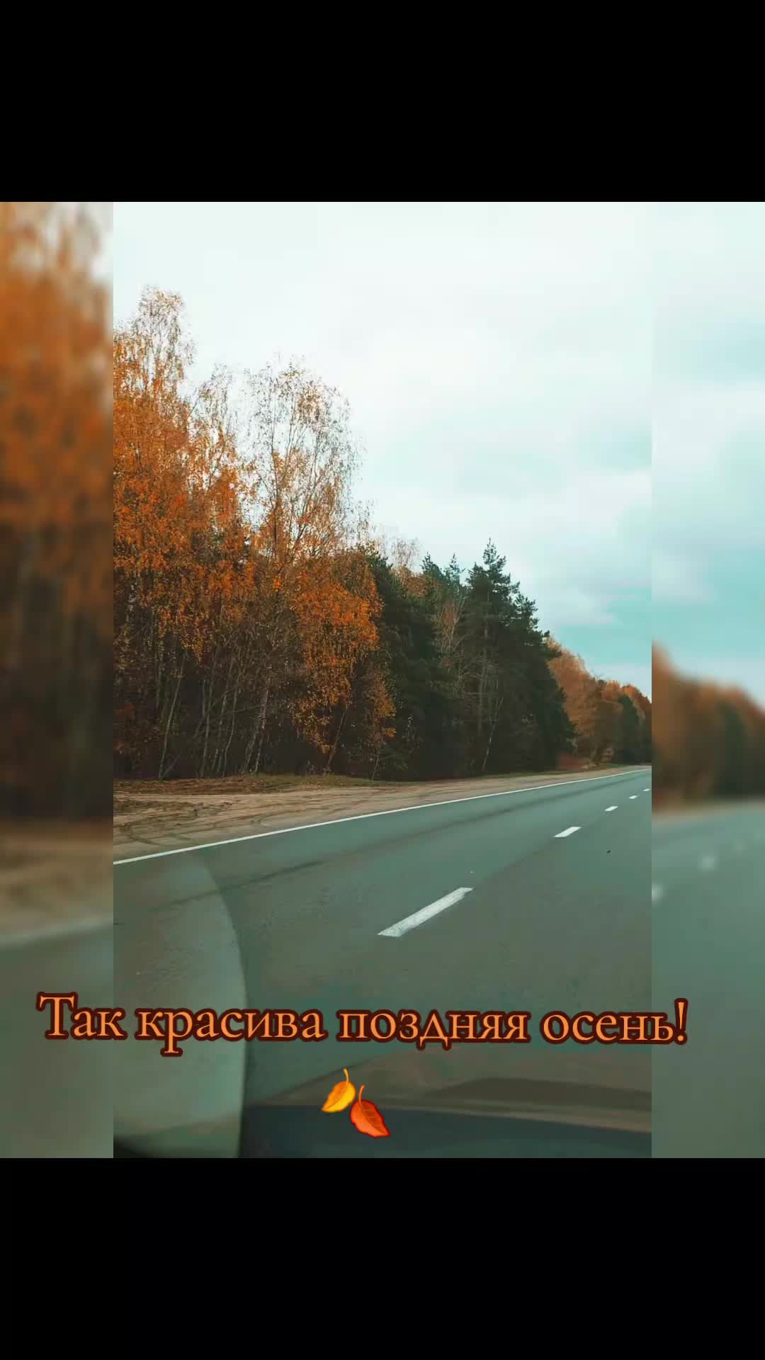 @_Inna_Vl_208