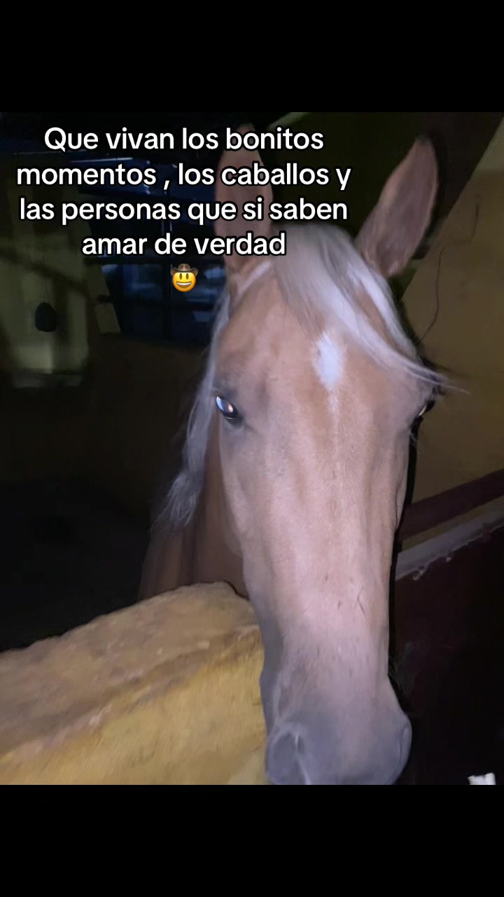 @Ig:Jose.Zambrano_31