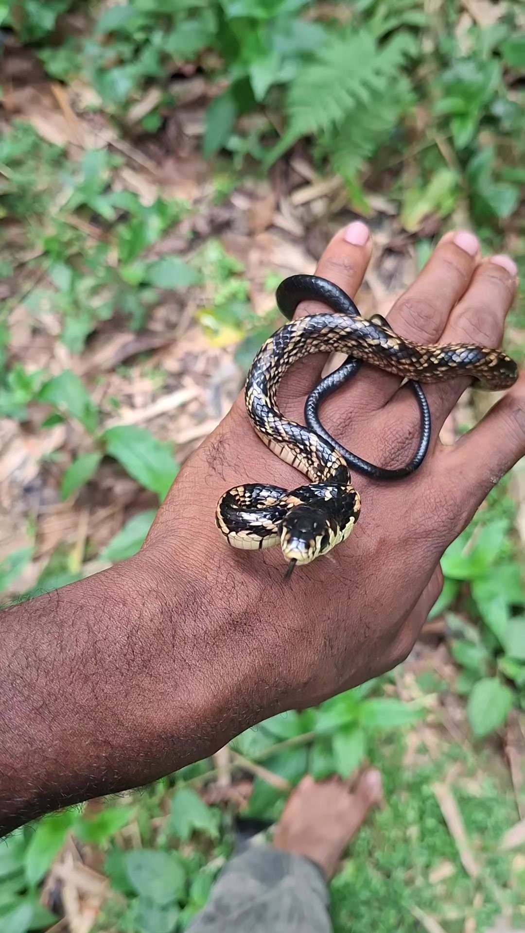 @the_wildlife_master