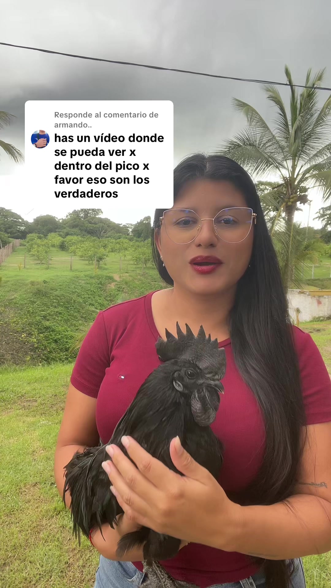 @Granjamascotalandiayaracuy