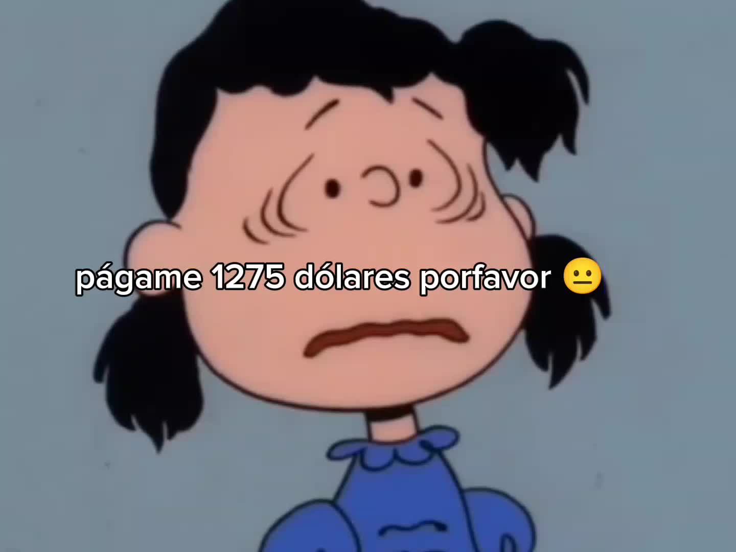 @MISHE!*.✧ || VAN PELT