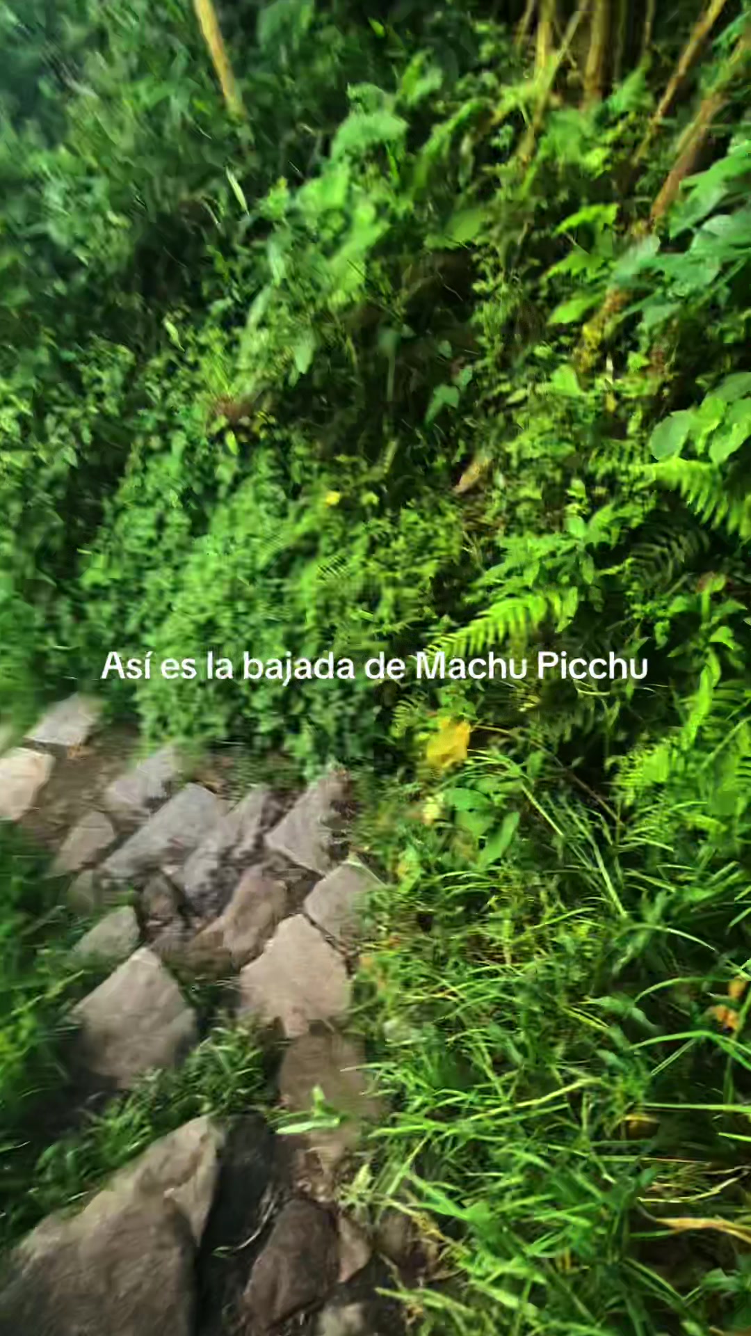 @Maríajuana 🇦🇷