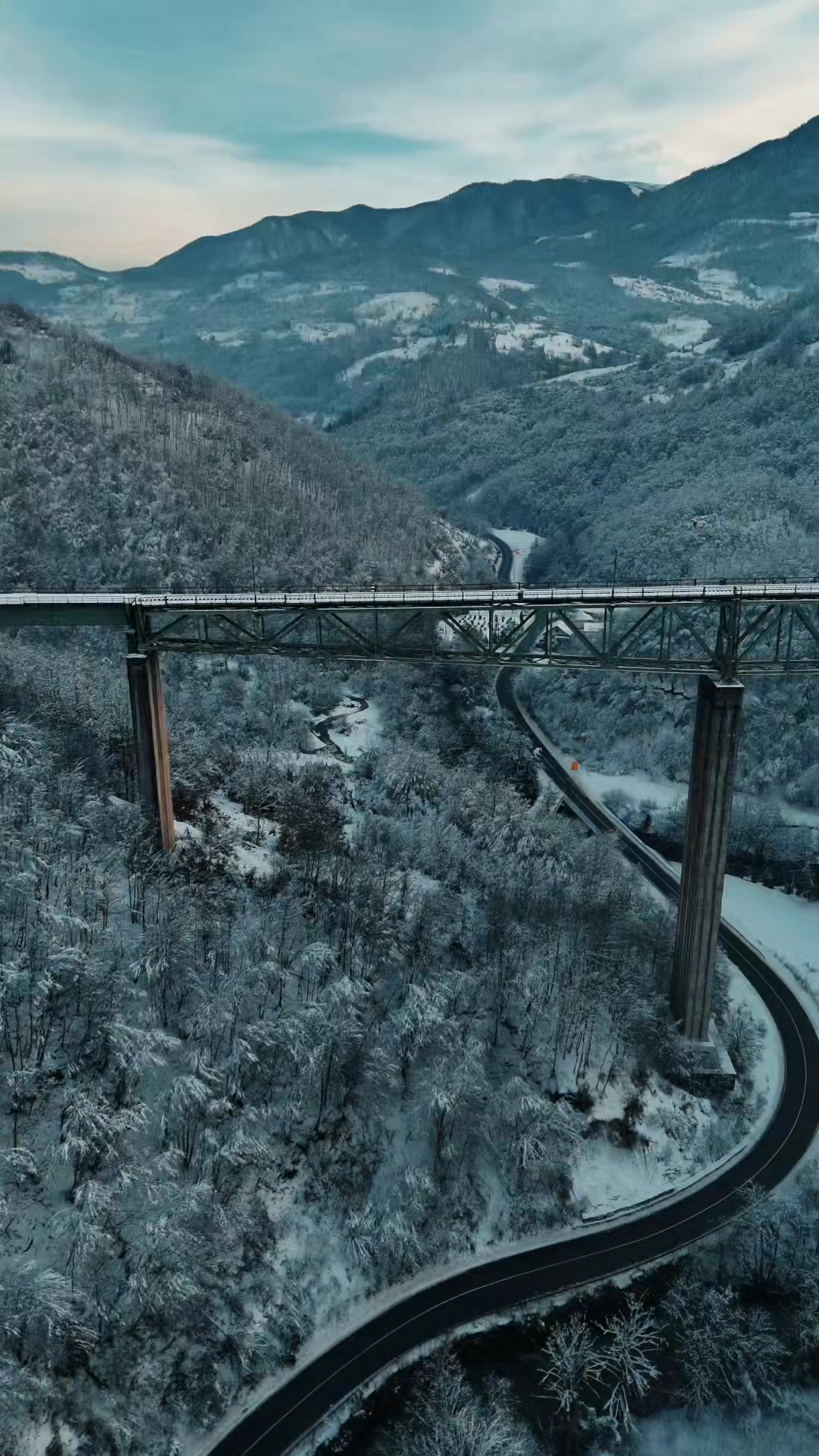 @Ana Leković
