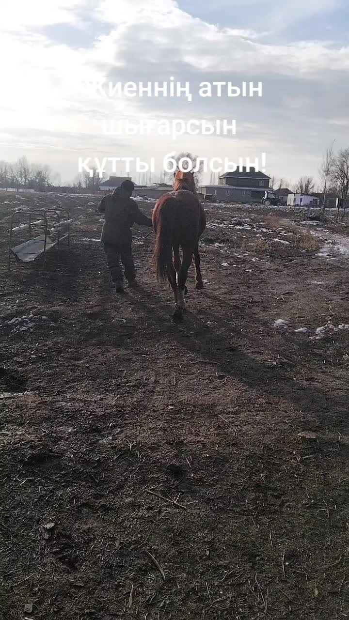 @Рахат
