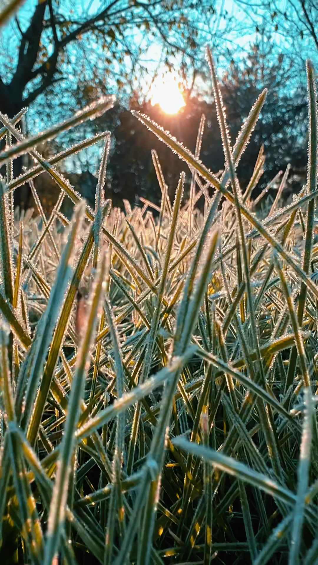 @Nata_R___
