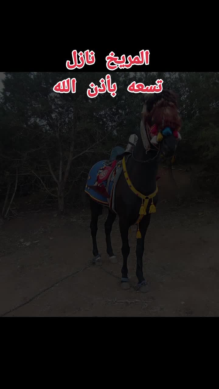 @Bu Bliqa