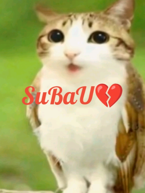 @โจ๐ข๐ ๐จ๐๐๐ฏ๐ฌ