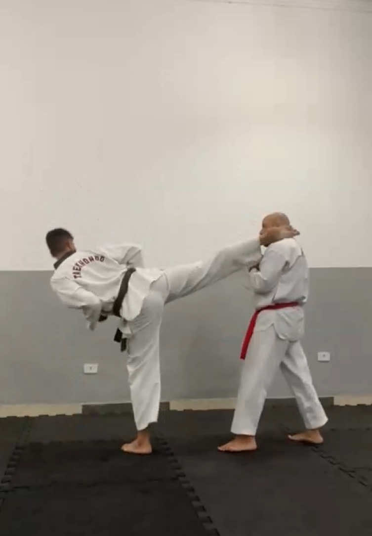 @Tavares TKD Fight