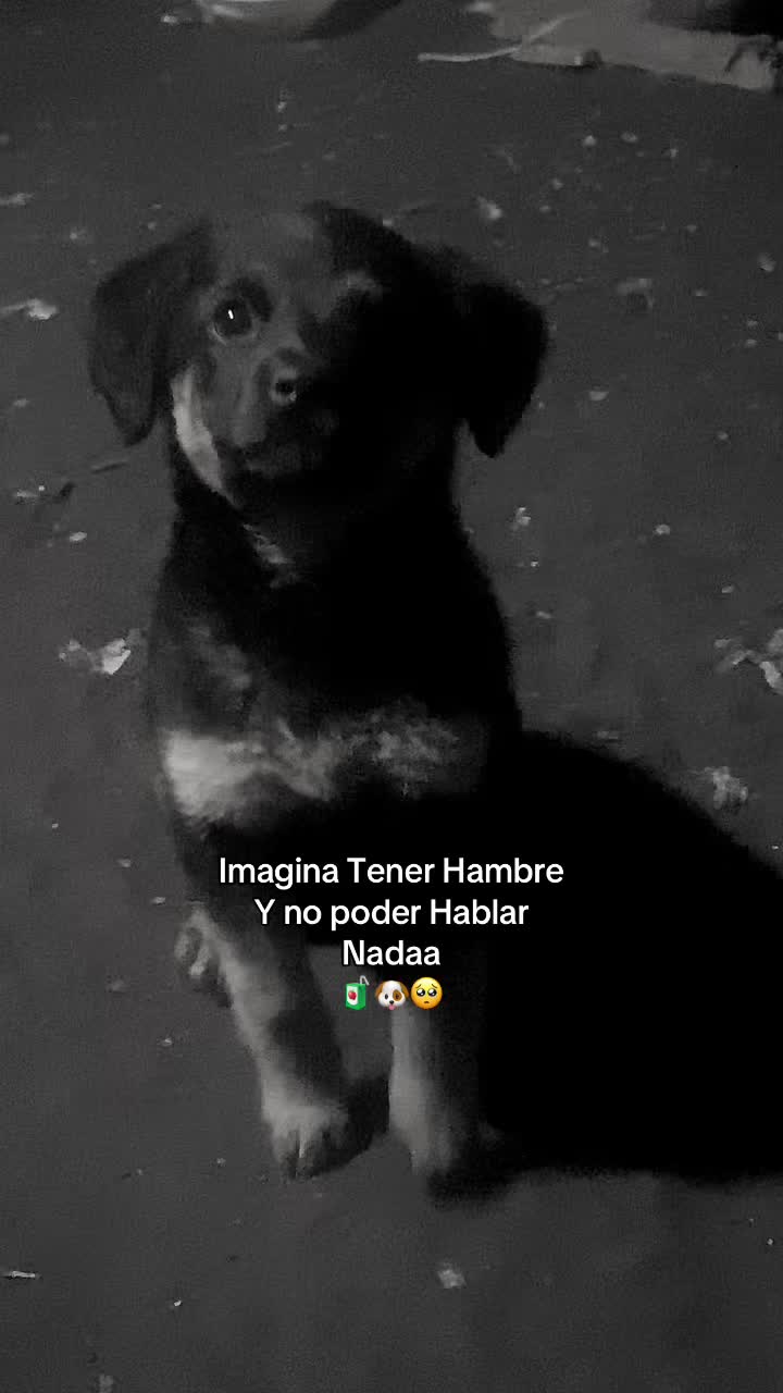 @🪫SUFRIDO🚶🏻♂️