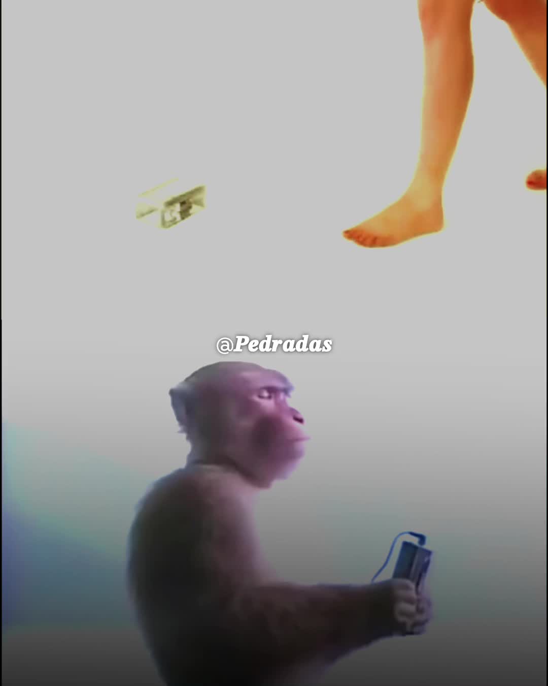 @๐ท๐๐
๐๐๐
๐๐๐ต