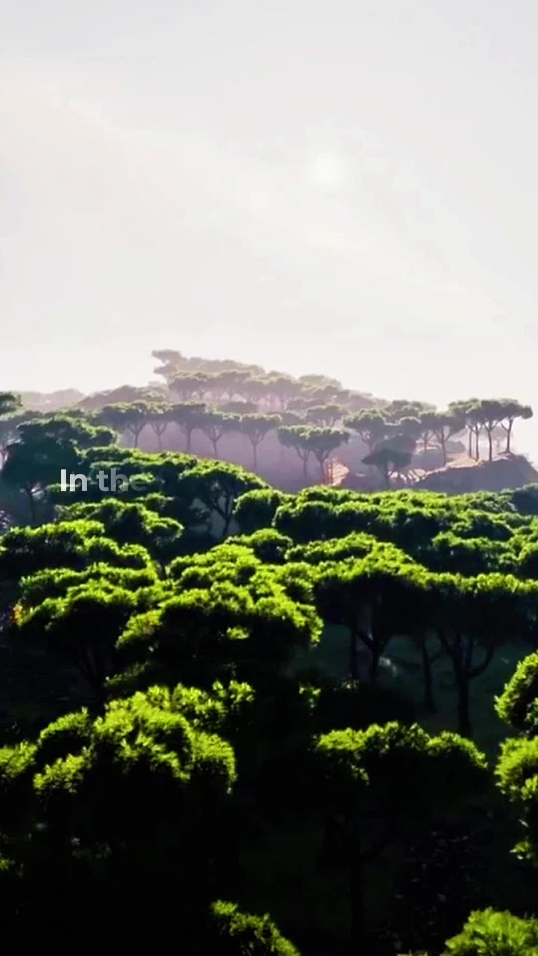 @ጉዞ ውባ | TRAVEL 🇪🇹