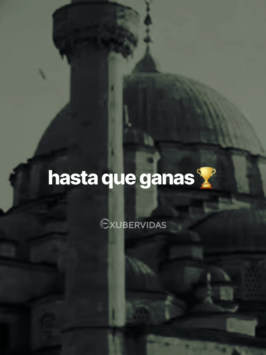 @exubervidas